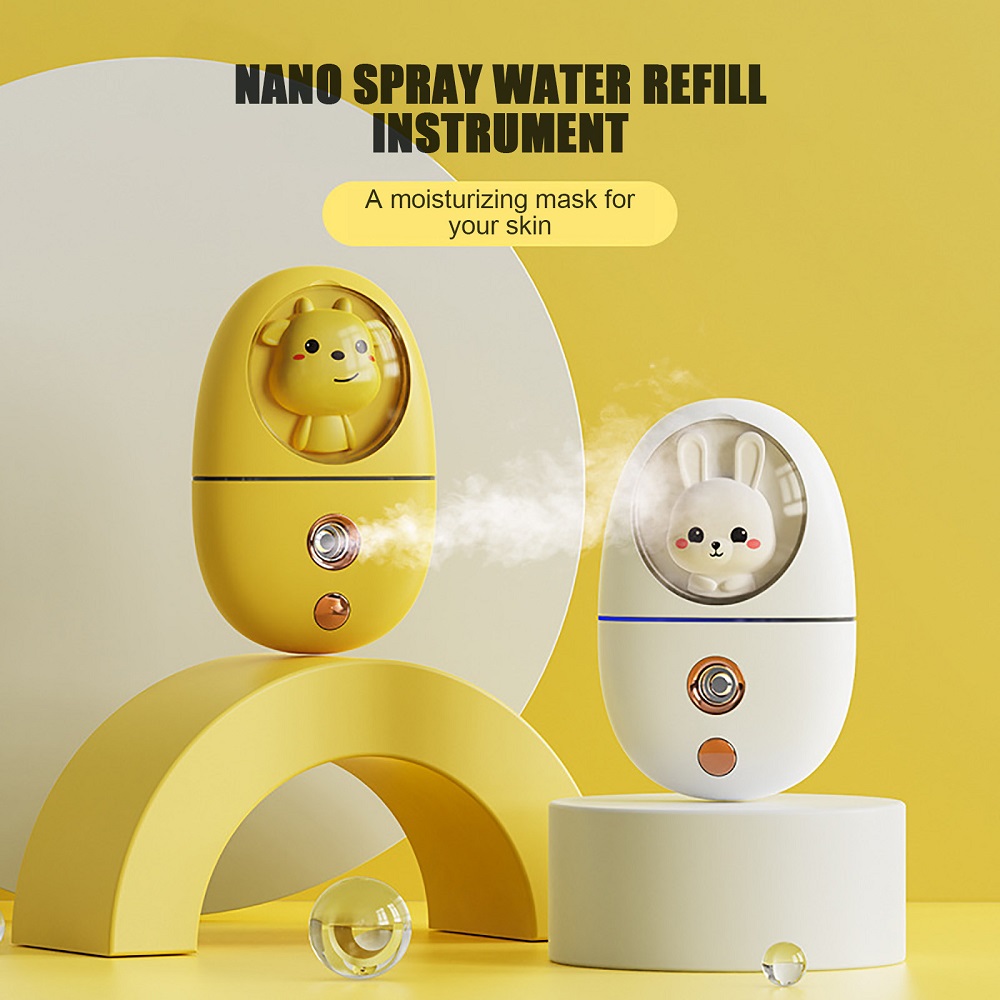Face Steamer - Mini humidificateur facial 35ML, vaporisateur de