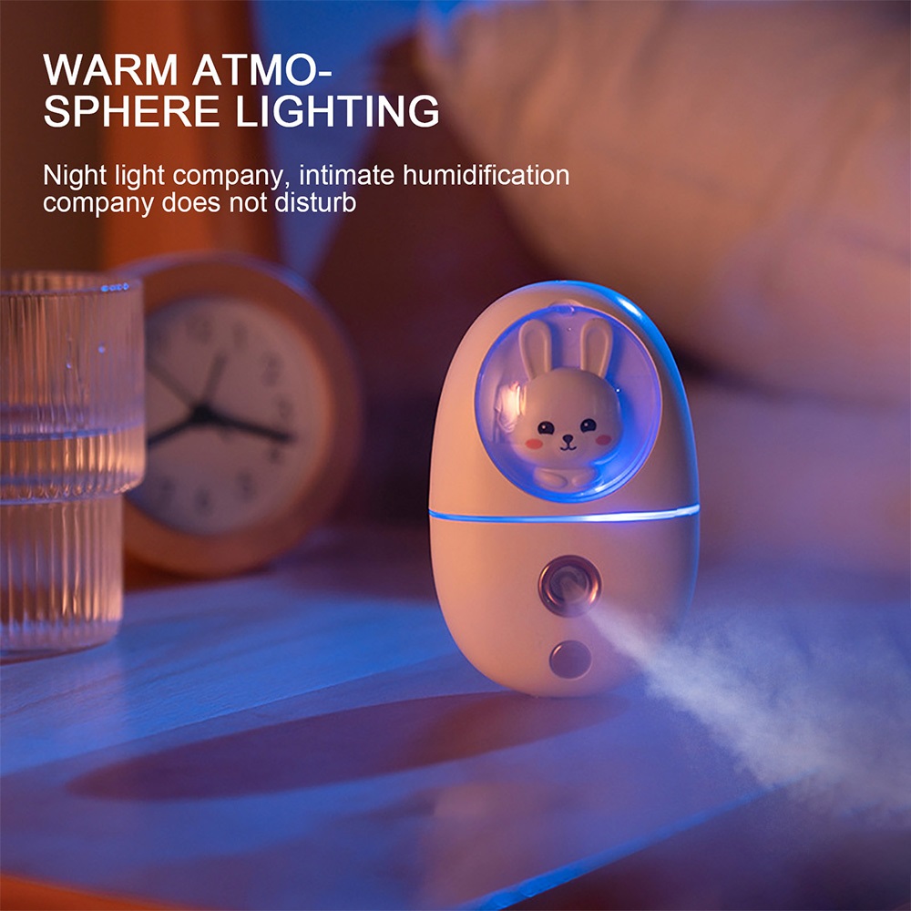 Mini humidificateur facial 35M - Face Steamer avis et prix