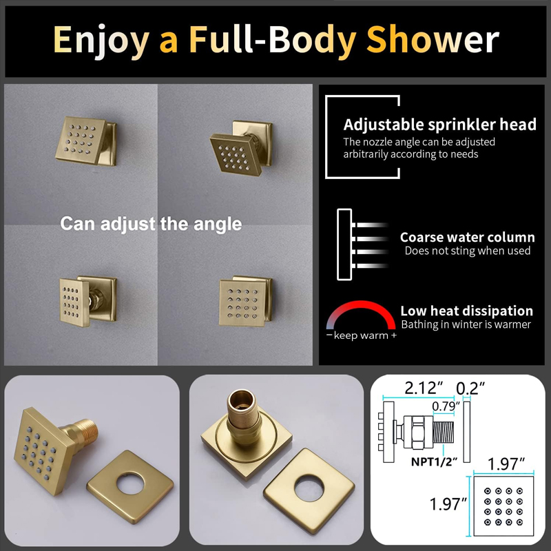 Système de douche thermostatiq - Body Brush avis et prix